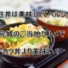 油麩丼は美味しくてヘルシー！宮城のご当地グルメでカツ丼より美味い？｜QOLウェブマガジン 【それ、知りたい】