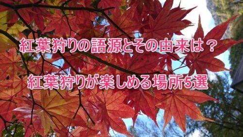 紅葉狩りの語源とその由来は？紅葉狩りが楽しめる場所5選