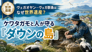 ヴェガオヤン－ヴェガ群島はなぜ世界遺産？ケワタガモと人が守る「ダウンの島」