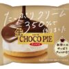 ロッテ生チョコパイはスーパーでしか買えない？値段とカロリー口コミは？