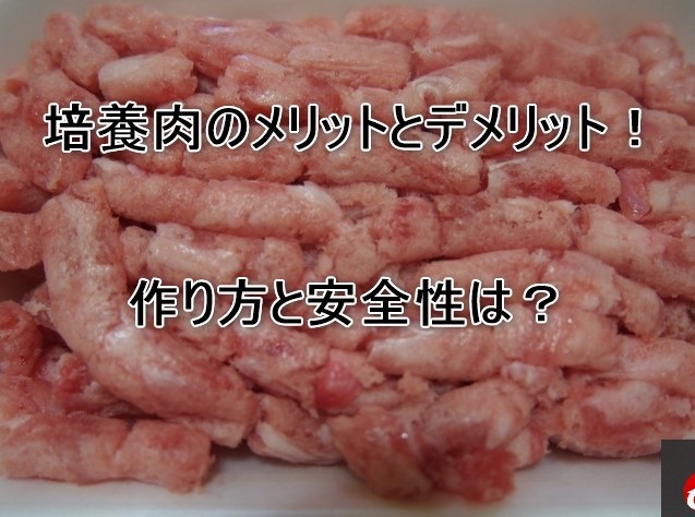 培養肉のメリットとデメリット！作り方と安全性は？