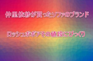 仲里依紗が買ったソファのブランドロッシュボボアその値段にびっくり！
