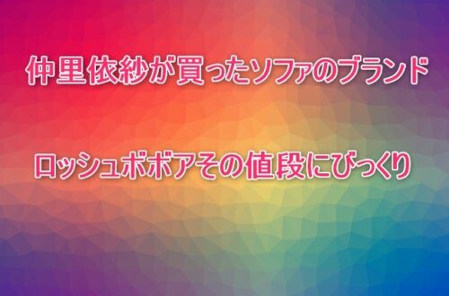 仲里依紗が買ったソファのブランドロッシュボボアその値段にびっくり！