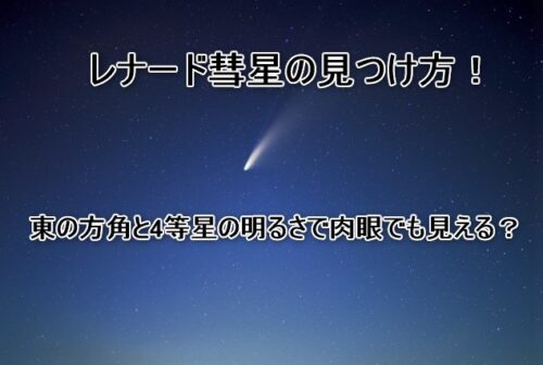 レナード彗星の見つけ方・探し方・写し方（東の方角と4等星の明るさで肉眼がヒント）