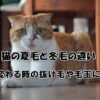 QOLウェブマガジン【それ、知りたかった】QOLが爆上がりするネタで生活満足度や充実感アップへ