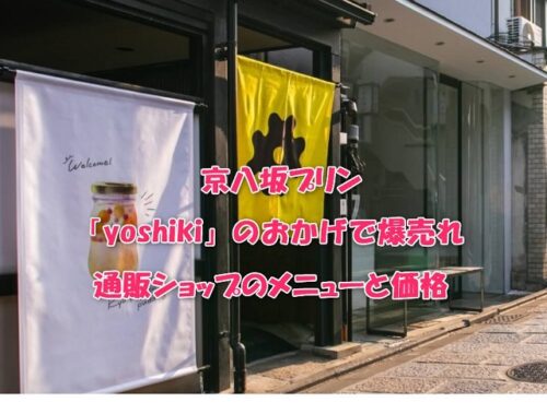 京八坂プリン「yoshiki」のおかげで爆売れ！通販ショップのメニューと価格