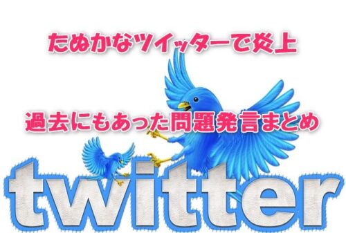 たぬかなツイッターで炎上！過去にもあった問題発言まとめ