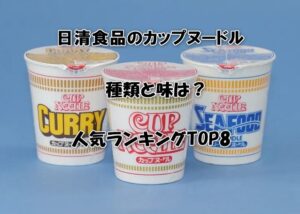 日清食品のカップヌードルの種類と味は？人気ランキングTOP8