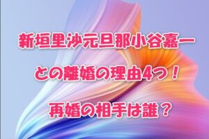 新垣里沙と小谷嘉一が離婚した理由とは？再婚相手や現在の結婚生活を調査
