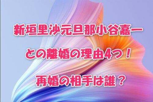 新垣里沙元旦那小谷嘉一との離婚の理由4つ！再婚の相手は誰？