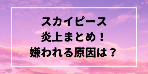 スカイピースの炎上まとめ！嫌われる原因は？