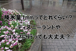 降水量1mmってどれくらい？ディズニーランドやゴルフに行っても大丈夫？