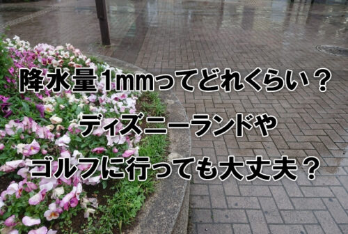 降水量1mmってどれくらい？ディズニーランドやゴルフに行っても大丈夫？