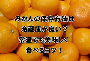 みかんの保存方法は冷蔵庫が良い？常温でも美味しく食べるコツ！