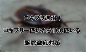 ゴキブリ退治！ゴキブリ一匹いたら100匹いる駆除徹底対策