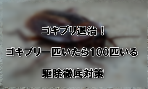 ゴキブリ退治！ゴキブリ一匹いたら100匹いる駆除徹底対策