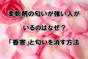柔軟剤の匂いが強い人がいるのはなぜ？「香害」と匂いを消す方法