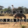 QOLウェブマガジン【それ、知りたかった】QOLが爆上がりするネタで生活満足度や充実感アップへ