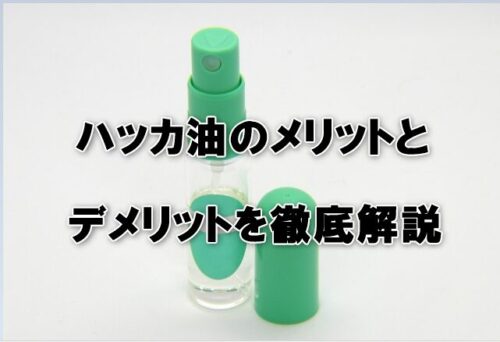 ハッカ油のメリットとデメリットを徹底解説