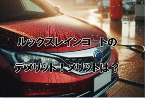 ルックスレインコートのデメリット！メリットは？