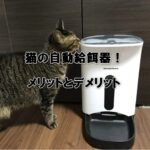 QOLウェブマガジン【それ、知りたかった】QOLが爆上がりするネタで生活満足度や充実感アップへ