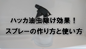 ハッカ油虫除け効果！スプレーの作り方と使い方